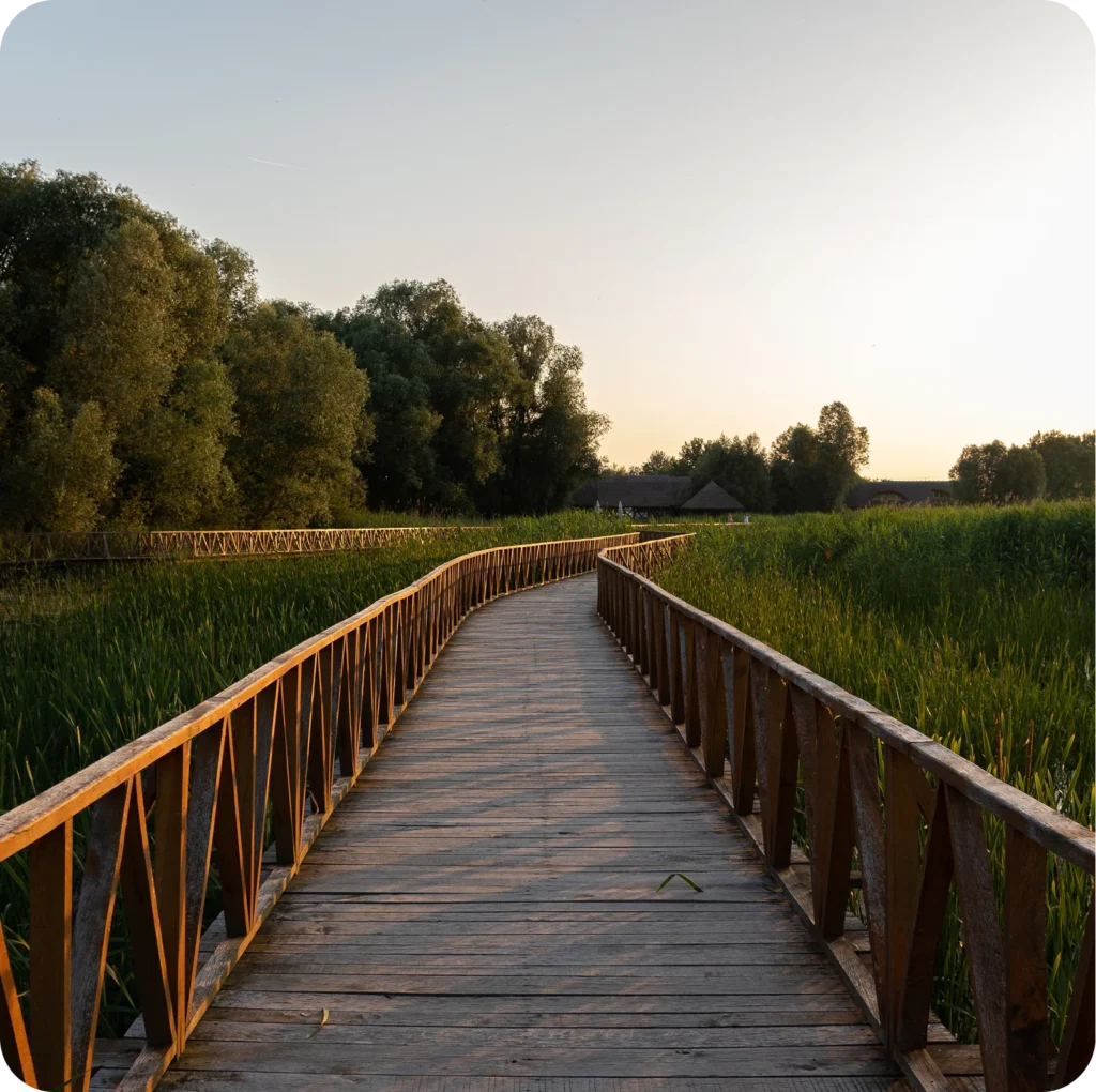companionship walk Redlands Coast